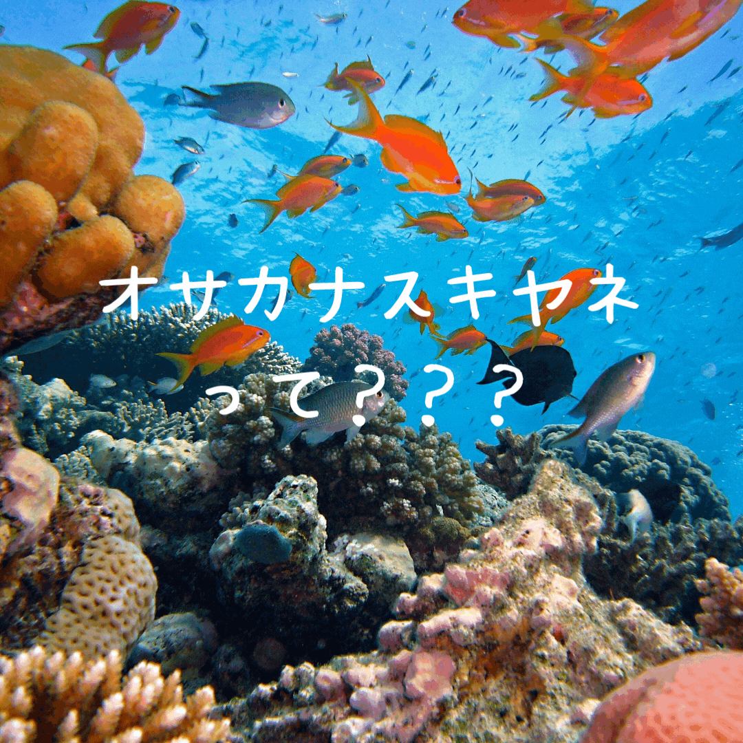 髪にも絶対良い！【オサカナスキヤネ】とは！？