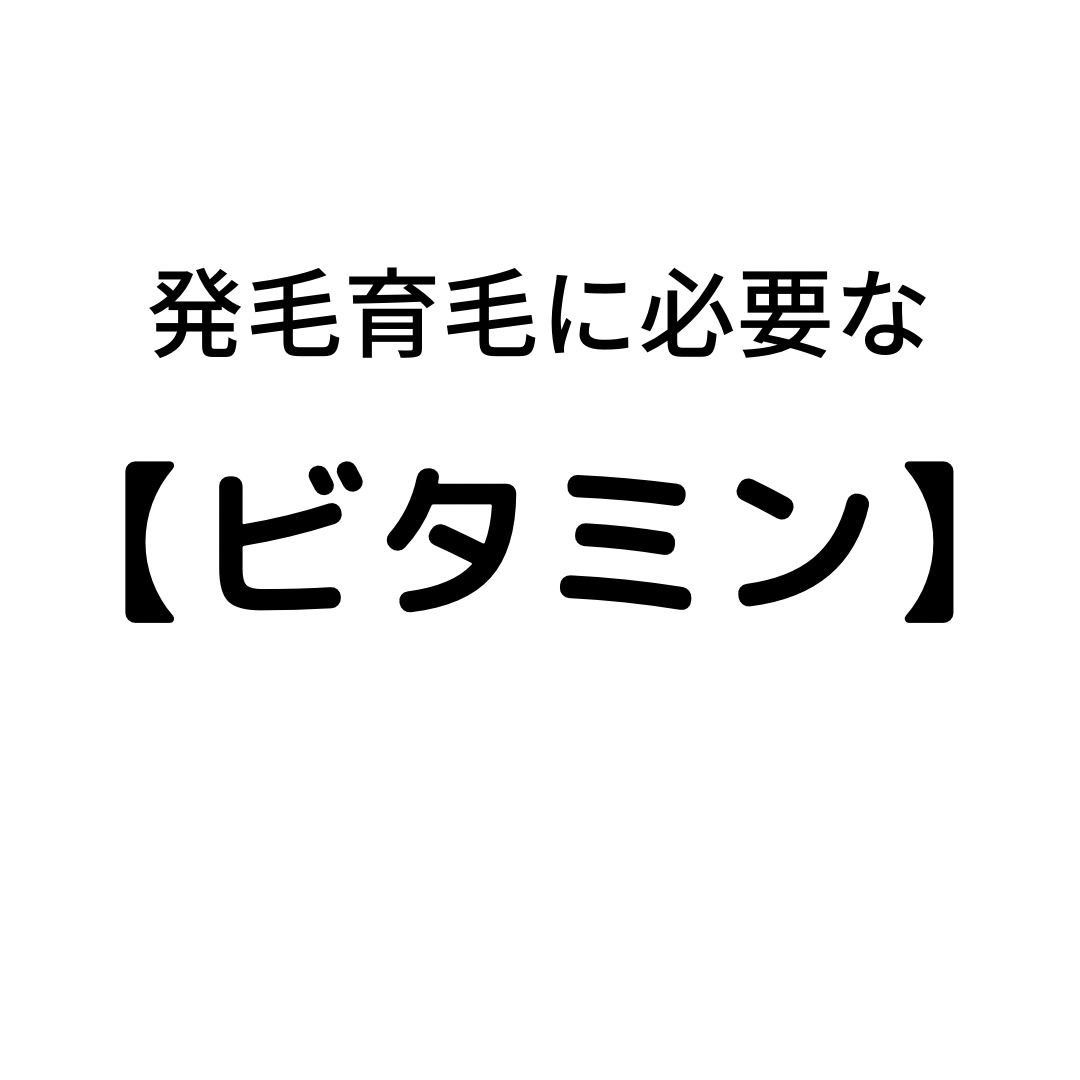 発毛育毛に必要な【ビタミン】