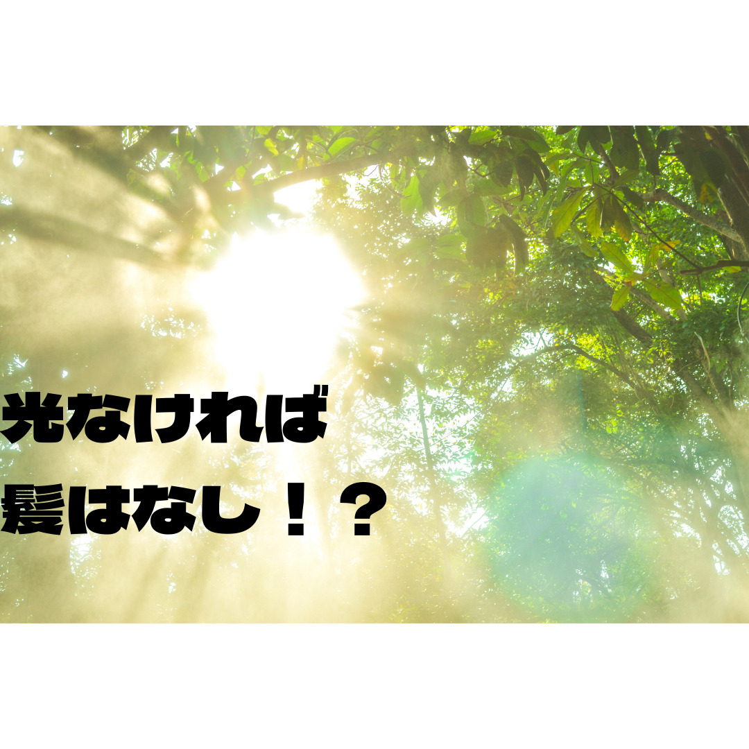 【薄毛治療】光なければ髪はなし！？