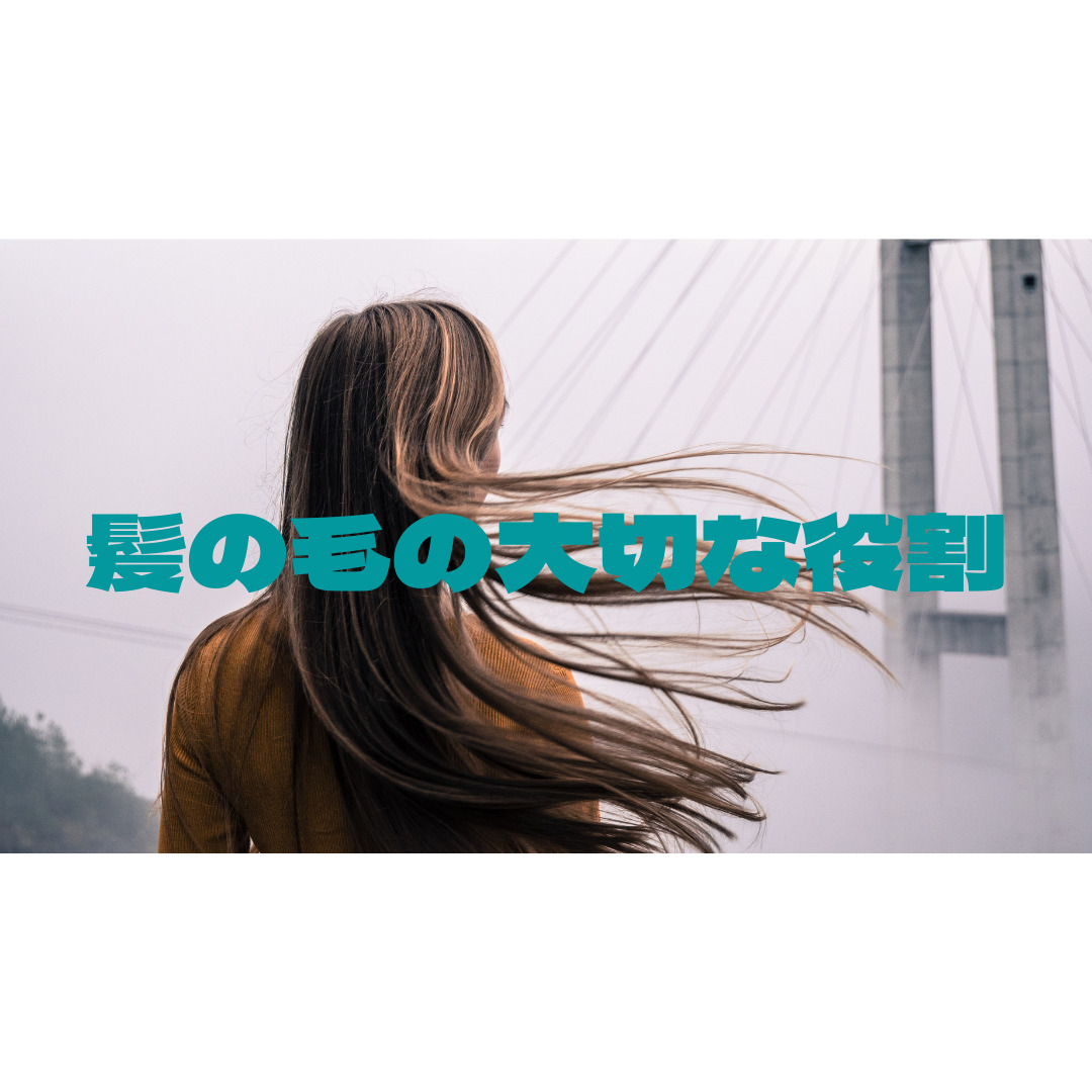 髪の毛の大切な役割
