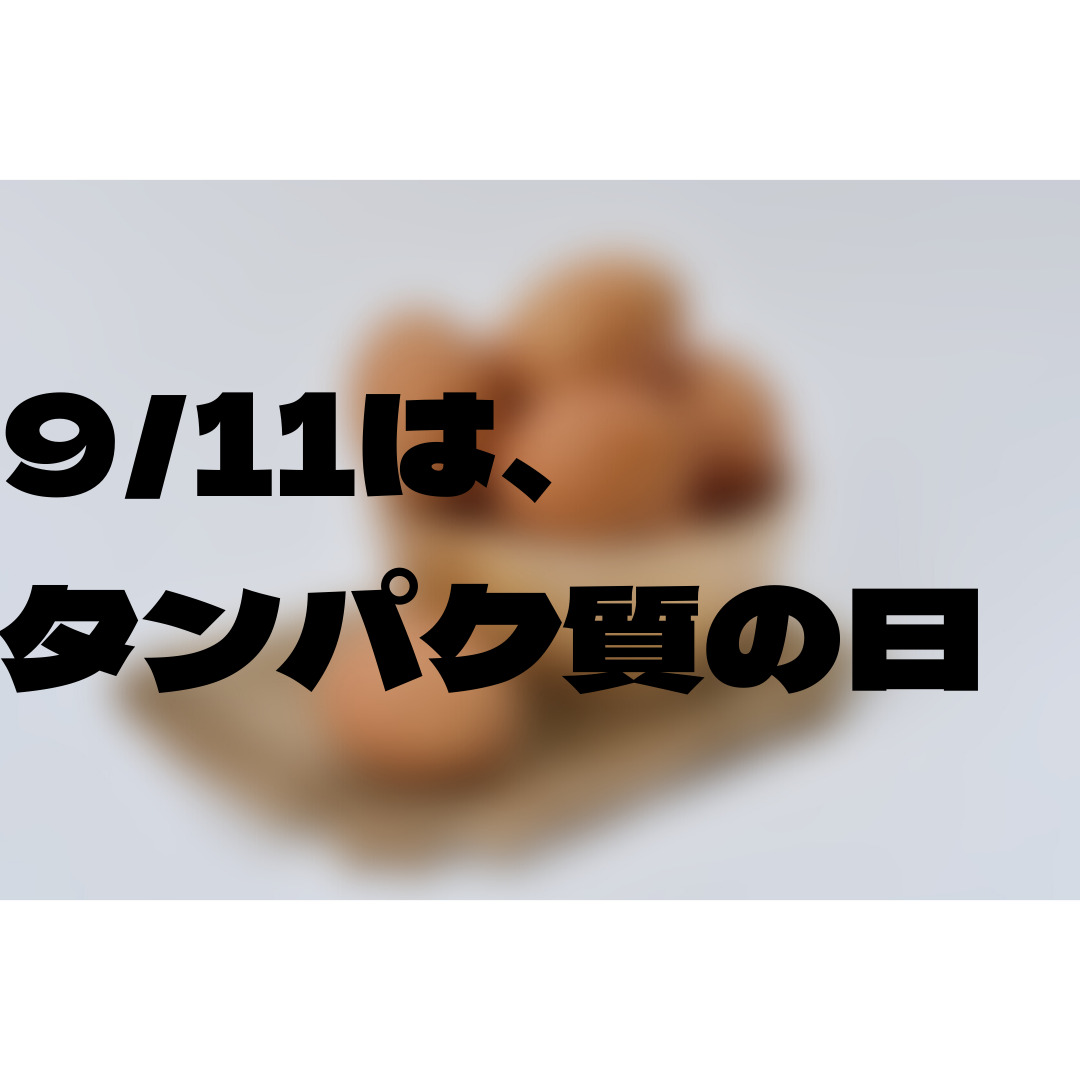 【薄毛にもタンパク質】9月11日はタンパク質の日