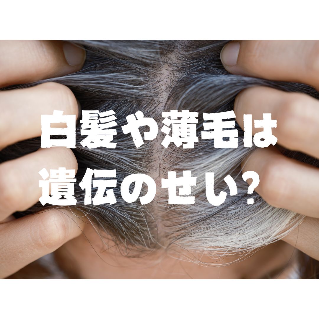 白髪や薄毛は遺伝のせい？