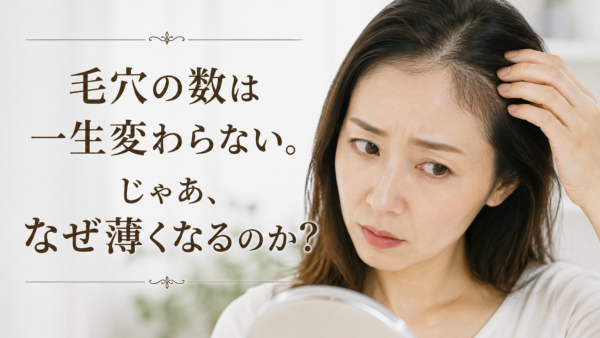 毛穴の数は一生変わらない。じゃあなぜ、薄くなるのか？