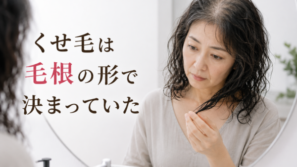 くせ毛は毛根の形で決まっていた